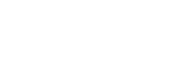 Psyfeature Logo